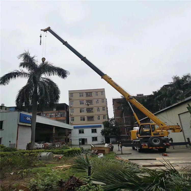 德庆树木移栽装卸